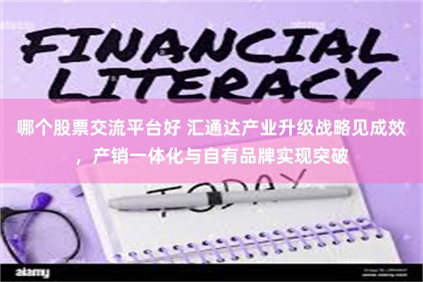 哪个股票交流平台好 汇通达产业升级战略见成效，产销一体化与自有品牌实现突破