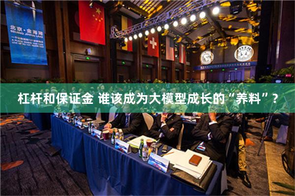 杠杆和保证金 谁该成为大模型成长的“养料”？