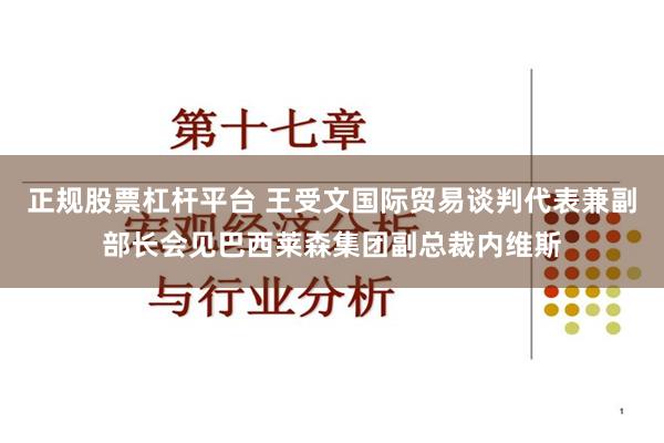 正规股票杠杆平台 王受文国际贸易谈判代表兼副部长会见巴西莱森集团副总裁内维斯