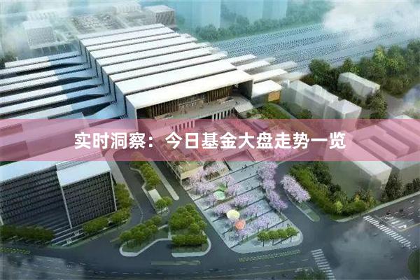 实时洞察：今日基金大盘走势一览