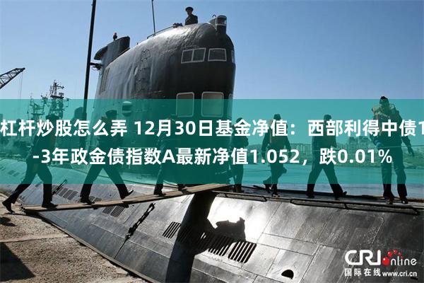 杠杆炒股怎么弄 12月30日基金净值：西部利得中债1-3年政金债指数A最新净值1.052，跌0.01%