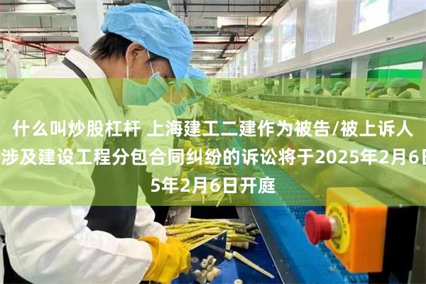 什么叫炒股杠杆 上海建工二建作为被告/被上诉人的1起涉及建设工程分包合同纠纷的诉讼将于2025年2月6日开庭