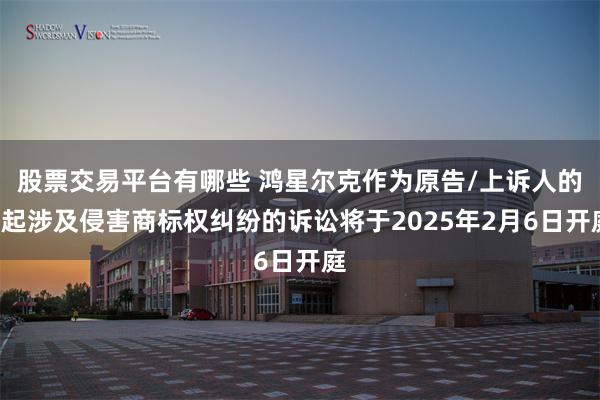 股票交易平台有哪些 鸿星尔克作为原告/上诉人的7起涉及侵害商标权纠纷的诉讼将于2025年2月6日开庭