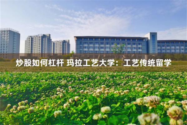 炒股如何杠杆 玛拉工艺大学：工艺传统留学