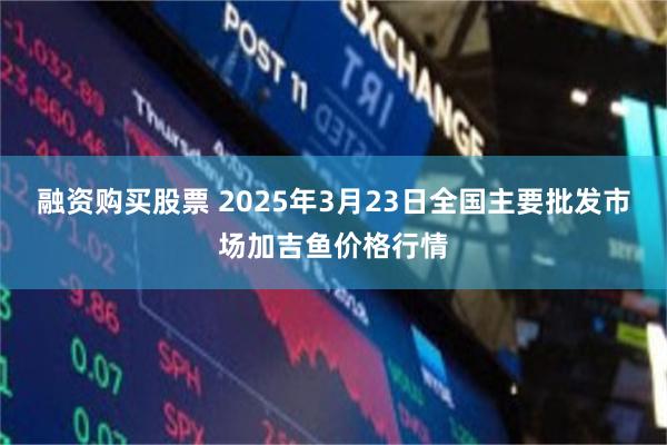 融资购买股票 2025年3月23日全国主要批发市场加吉鱼价格行情
