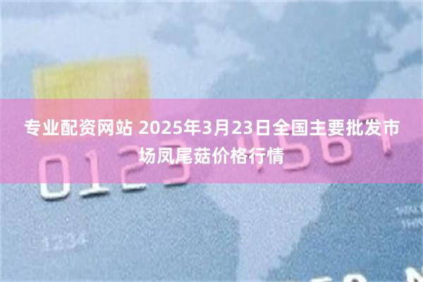 专业配资网站 2025年3月23日全国主要批发市场凤尾菇价格行情