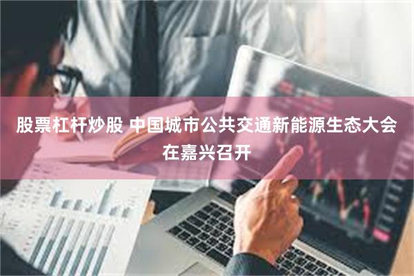 股票杠杆炒股 中国城市公共交通新能源生态大会在嘉兴召开
