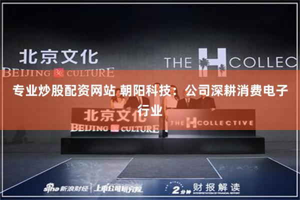 专业炒股配资网站 朝阳科技：公司深耕消费电子行业