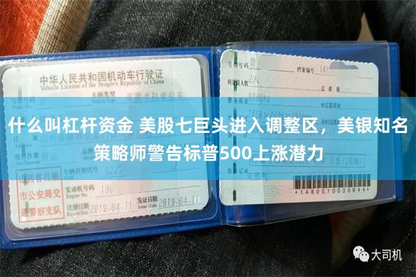什么叫杠杆资金 美股七巨头进入调整区，美银知名策略师警告标普500上涨潜力