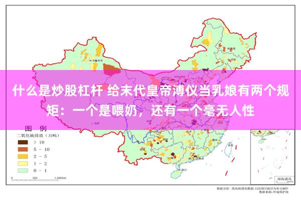 什么是炒股杠杆 给末代皇帝溥仪当乳娘有两个规矩：一个是喂奶，还有一个毫无人性