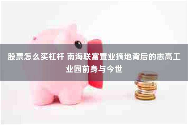 股票怎么买杠杆 南海联富置业摘地背后的志高工业园前身与今世