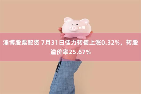 淄博股票配资 7月31日佳力转债上涨0.32%，转股溢价率25.67%