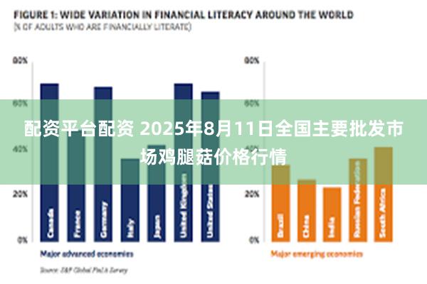 配资平台配资 2025年8月11日全国主要批发市场鸡腿菇价格行情