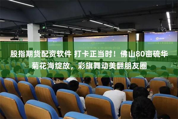 股指期货配资软件 打卡正当时！佛山80亩硫华菊花海绽放，彩旗舞动美翻朋友圈