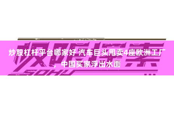 炒股杠杆平台哪家好 汽车巨头甩卖4座欧洲工厂，中国买家浮出水面