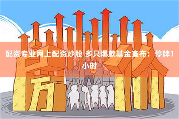 配资专业网上配资炒股 多只爆款基金宣布：停牌1小时