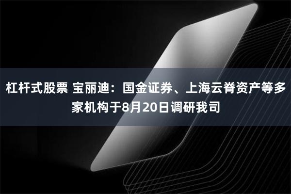 杠杆式股票 宝丽迪：国金证券、上海云脊资产等多家机构于8月20日调研我司