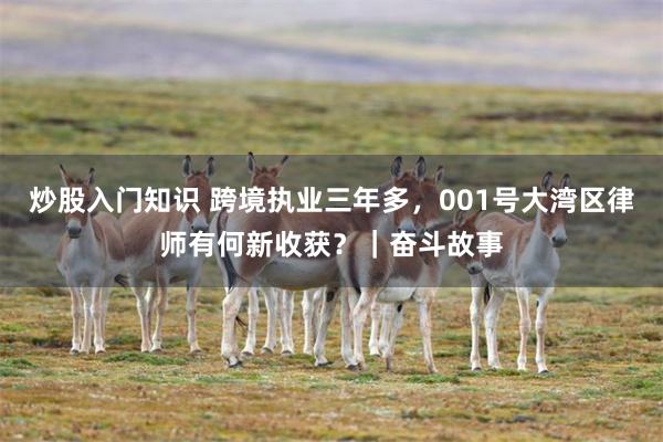 炒股入门知识 跨境执业三年多，001号大湾区律师有何新收获？｜奋斗故事