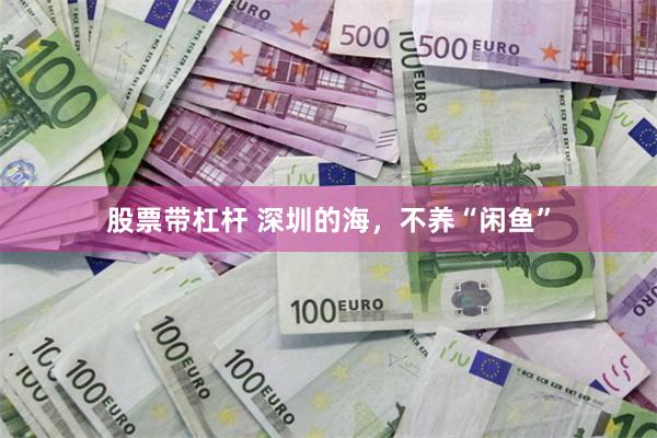 股票带杠杆 深圳的海，不养“闲鱼”