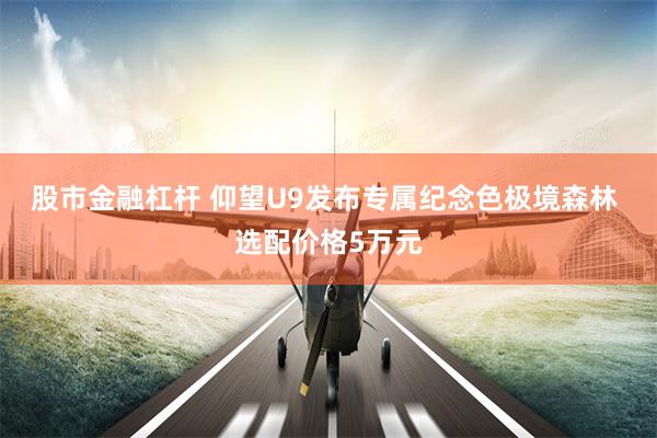 股市金融杠杆 仰望U9发布专属纪念色极境森林 选配价格5万元