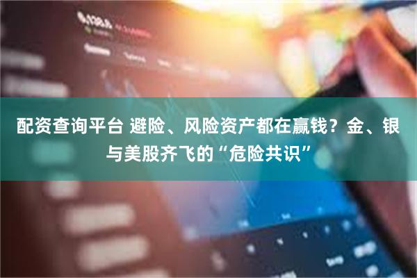 配资查询平台 避险、风险资产都在赢钱？金、银与美股齐飞的“危险共识”