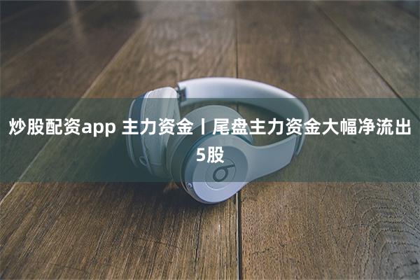 炒股配资app 主力资金丨尾盘主力资金大幅净流出5股