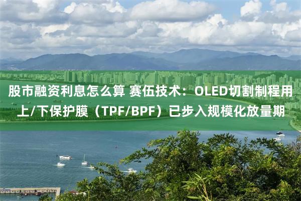 股市融资利息怎么算 赛伍技术：OLED切割制程用上/下保护膜（TPF/BPF）已步入规模化放量期