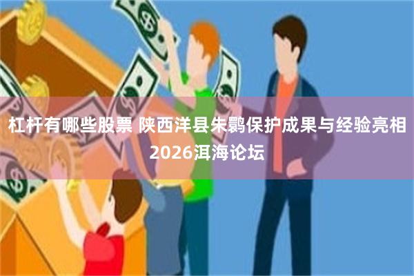 杠杆有哪些股票 陕西洋县朱鹮保护成果与经验亮相2026洱海论坛