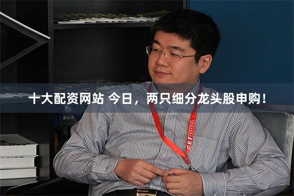 十大配资网站 今日,两只细分龙头股申购!