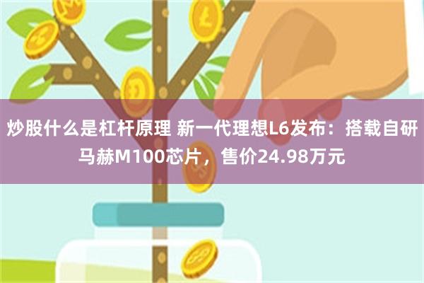炒股什么是杠杆原理 新一代理想L6发布：搭载自研马赫M100芯片，售价24.98万元