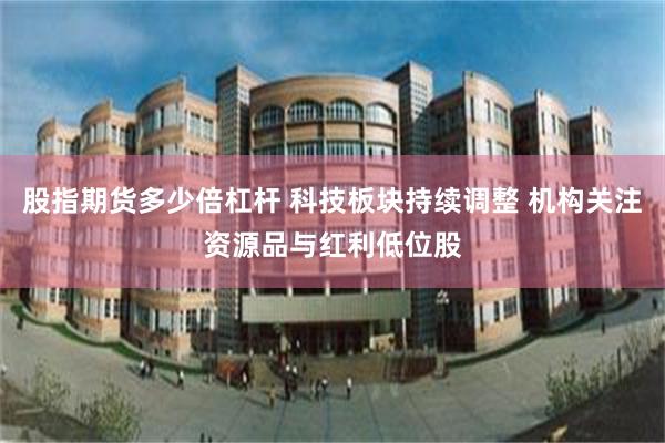 股指期货多少倍杠杆 科技板块持续调整 机构关注资源品与红利低位股