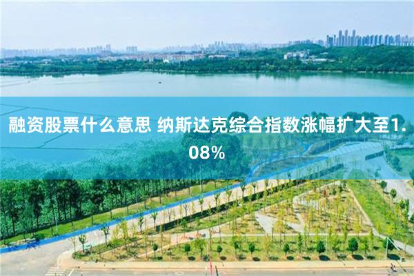 融资股票什么意思 纳斯达克综合指数涨幅扩大至1.08%