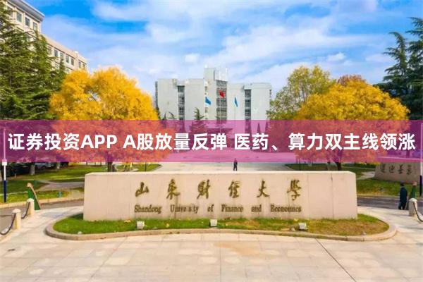 证券投资APP A股放量反弹 医药、算力双主线领涨