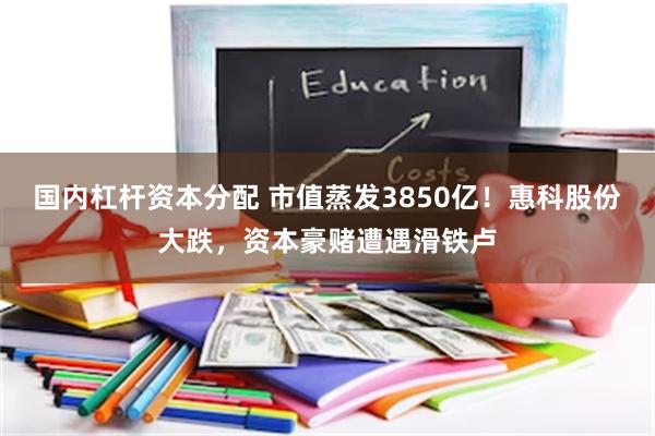 国内杠杆资本分配 市值蒸发3850亿！惠科股份大跌，资本豪赌遭遇滑铁卢
