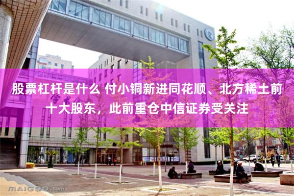 股票杠杆是什么 付小铜新进同花顺、北方稀土前十大股东，此前重仓中信证券受关注