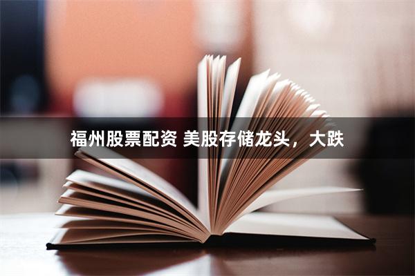 福州股票配资 美股存储龙头，大跌
