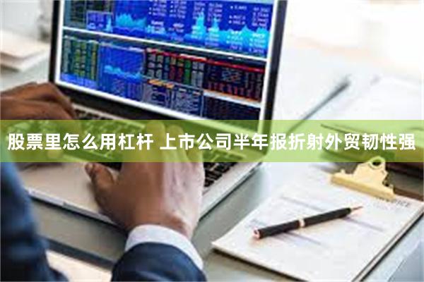 股票里怎么用杠杆 上市公司半年报折射外贸韧性强
