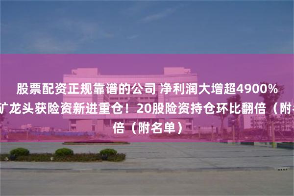 股票配资正规靠谱的公司 净利润大增超4900%，锂矿龙头获险资新进重仓！20股险资持仓环比翻倍（附名单）