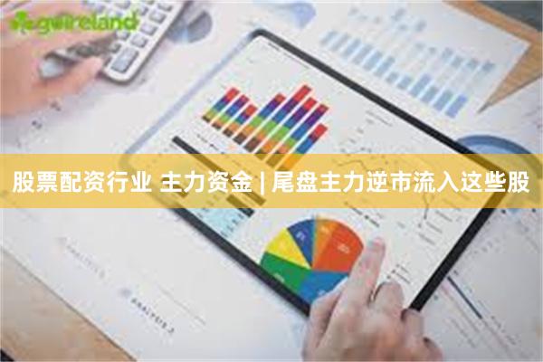 股票配资行业 主力资金 | 尾盘主力逆市流入这些股