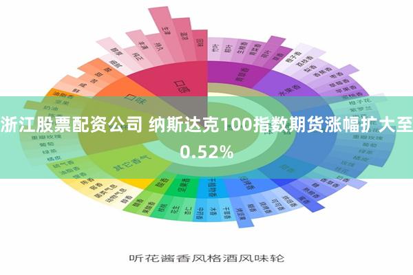 浙江股票配资公司 纳斯达克100指数期货涨幅扩大至0.52%