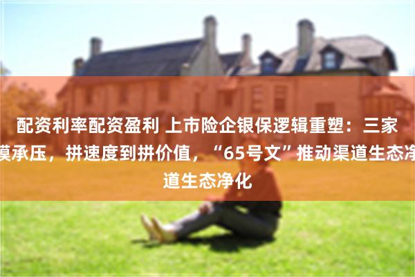 配资利率配资盈利 上市险企银保逻辑重塑：三家规模承压，拼速度到拼价值，“65号文”推动渠道生态净化
