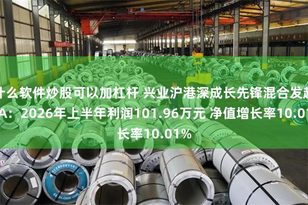 什么软件炒股可以加杠杆 兴业沪港深成长先锋混合发起式A：2026年上半年利润101.96万元 净值增长率10.01%