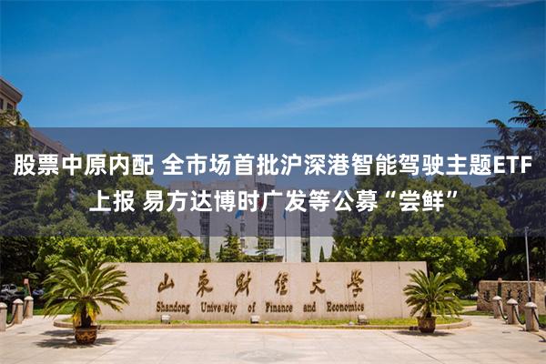 股票中原内配 全市场首批沪深港智能驾驶主题ETF上报 易方达博时广发等公募“尝鲜”