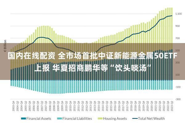国内在线配资 全市场首批中证新能源金属50ETF上报 华夏招商鹏华等“饮头啖汤”