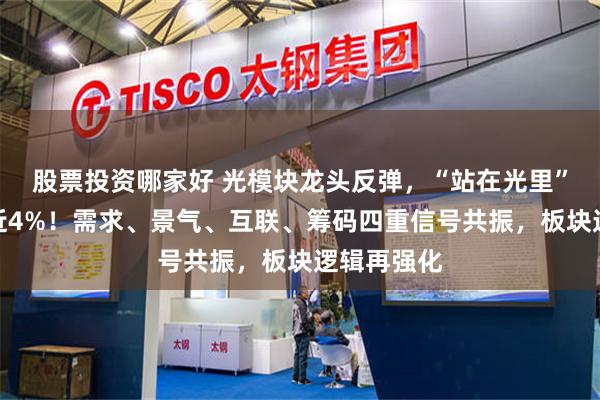 股票投资哪家好 光模块龙头反弹，“站在光里”的指数涨近4%！需求、景气、互联、筹码四重信号共振，板块逻辑再强化