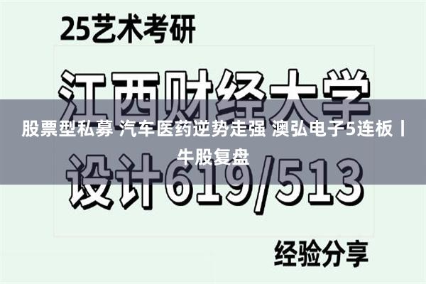 股票型私募 汽车医药逆势走强 澳弘电子5连板丨牛股复盘