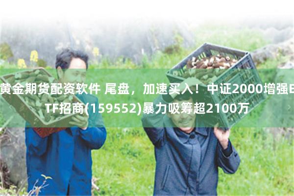 黄金期货配资软件 尾盘，加速买入！中证2000增强ETF招商(159552)暴力吸筹超2100万