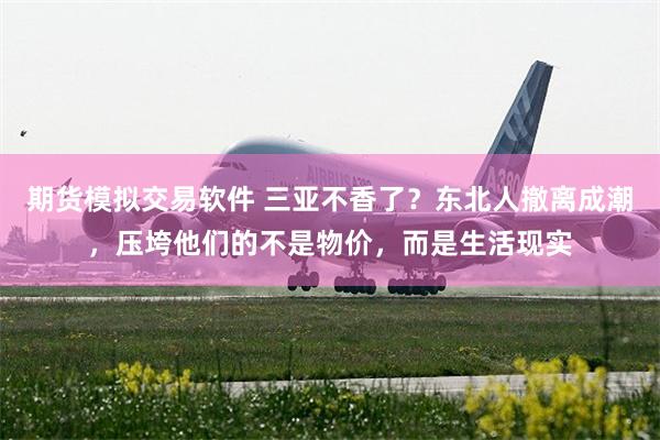 期货模拟交易软件 三亚不香了？东北人撤离成潮，压垮他们的不是物价，而是生活现实