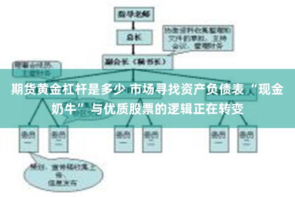 期货黄金杠杆是多少 市场寻找资产负债表 “现金奶牛” 与优质股票的逻辑正在转变