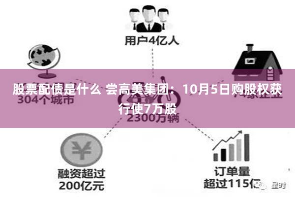股票配债是什么 尝高美集团：10月5日购股权获行使7万股